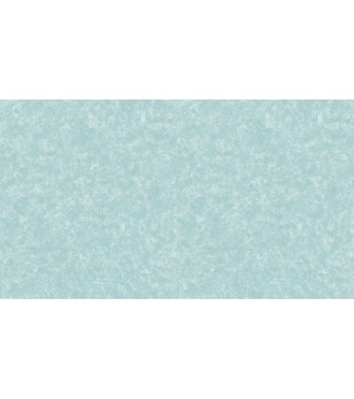 502150 (1,06)