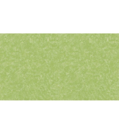 502143 (1,06)