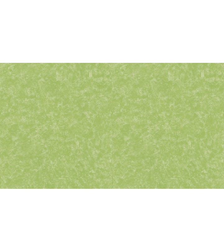 502143 (1,06)