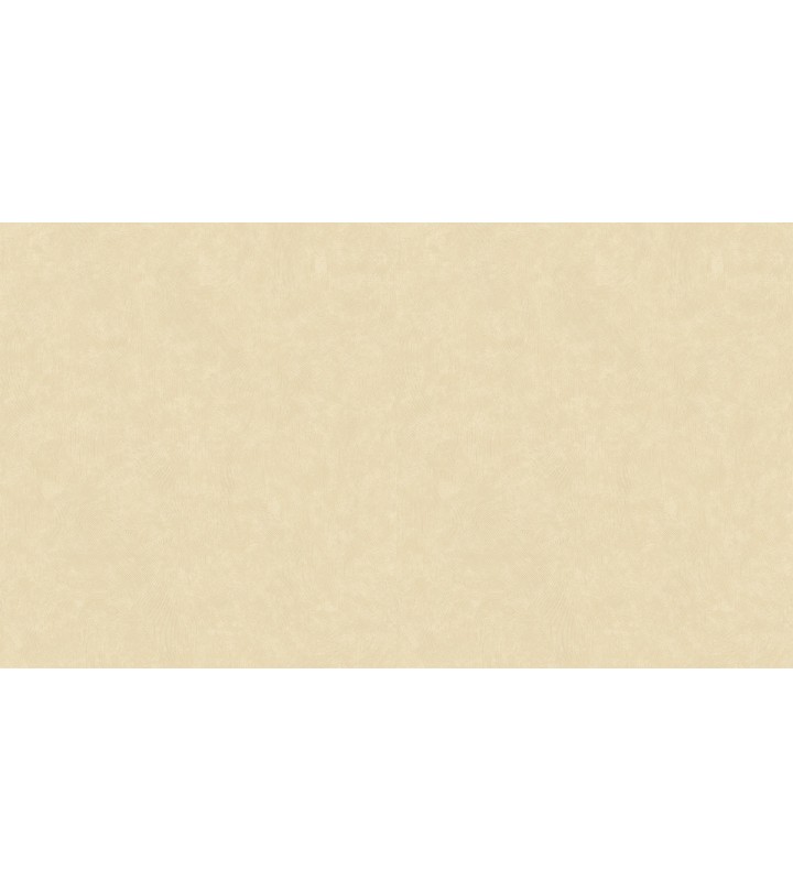 502136 (1,06)