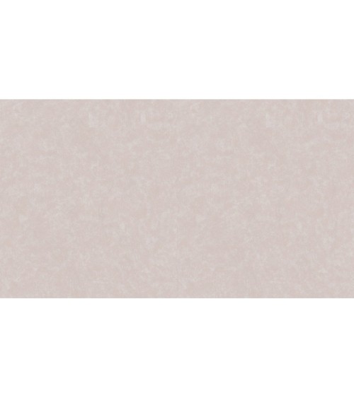 502129 (1,06)
