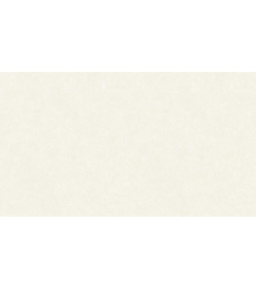 502105 (1,06)