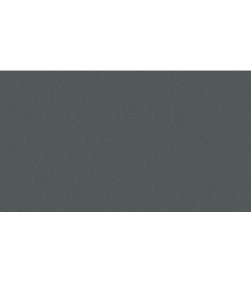 500743 (1,06)
