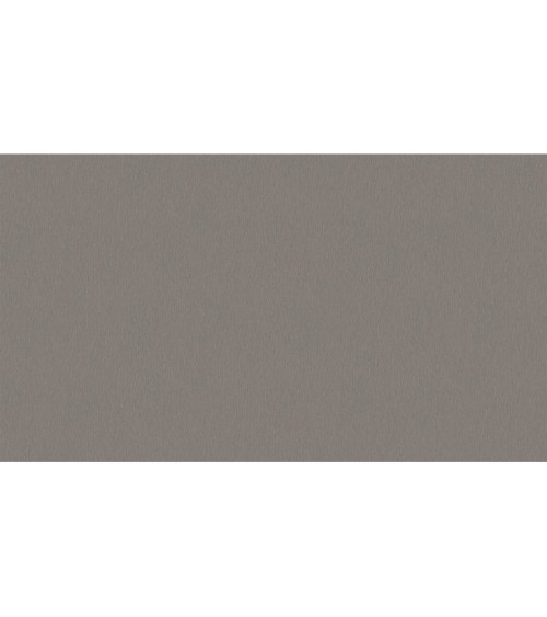 500736 (1,06)