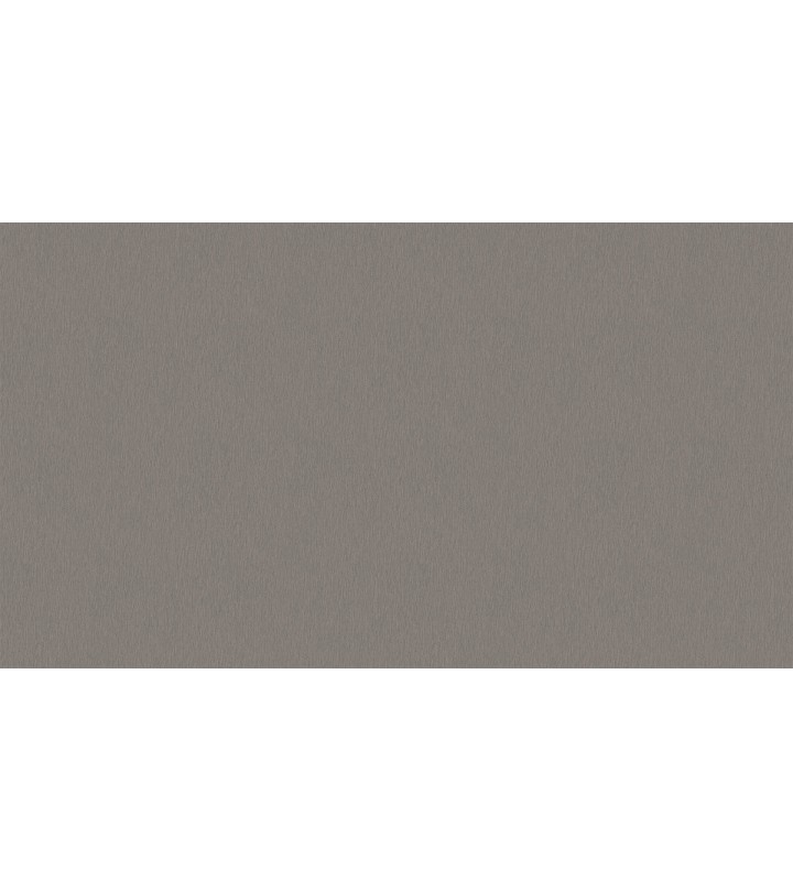 500736 (1,06)