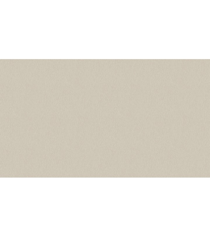 500729 (1,06)