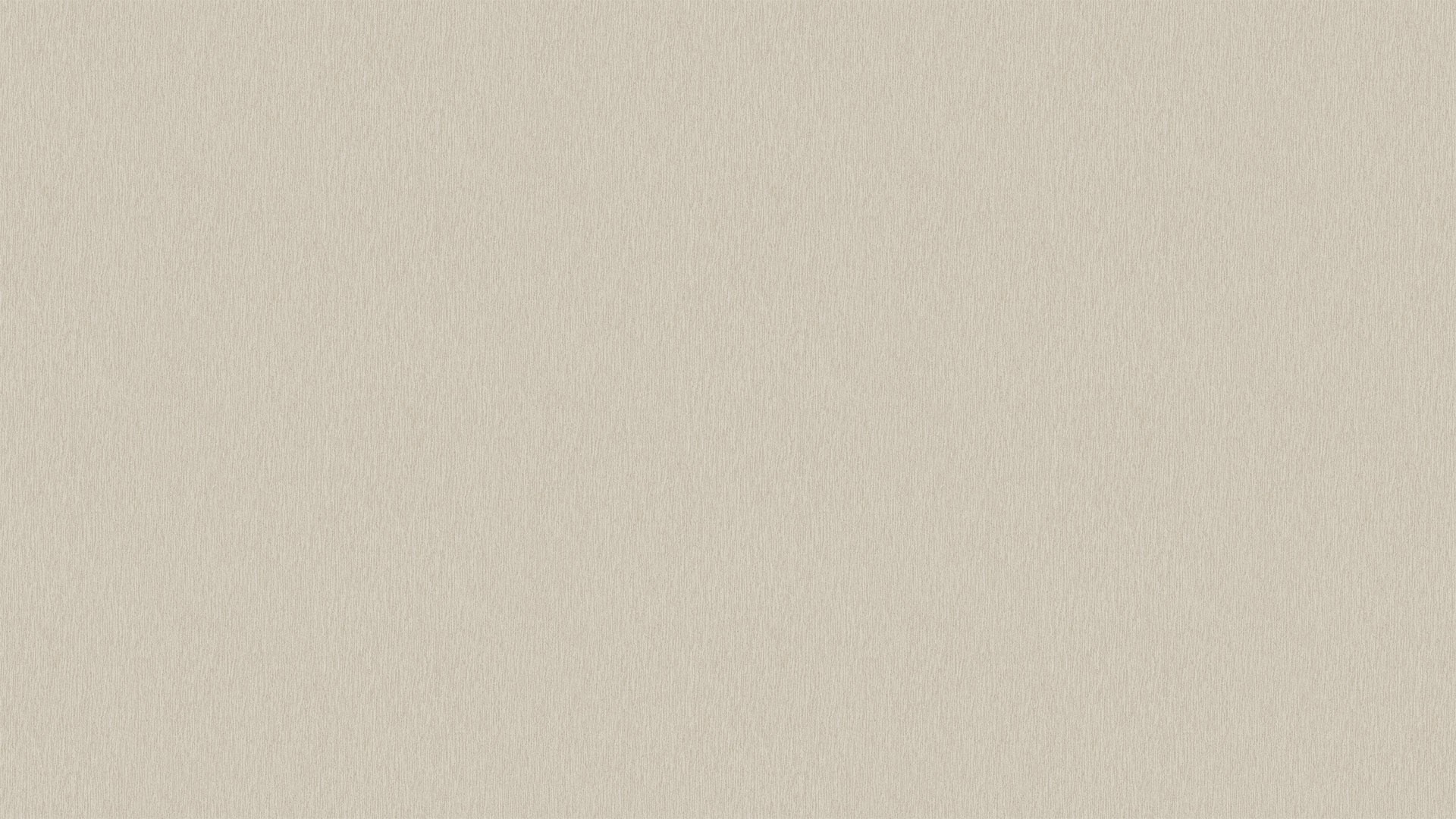500729 (1,06)