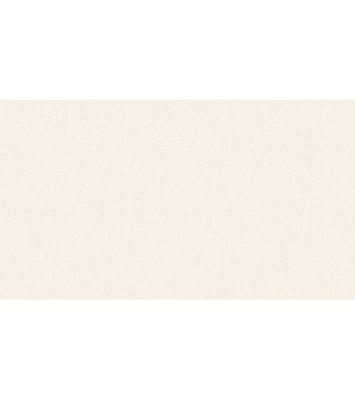 500705 (1,06)
