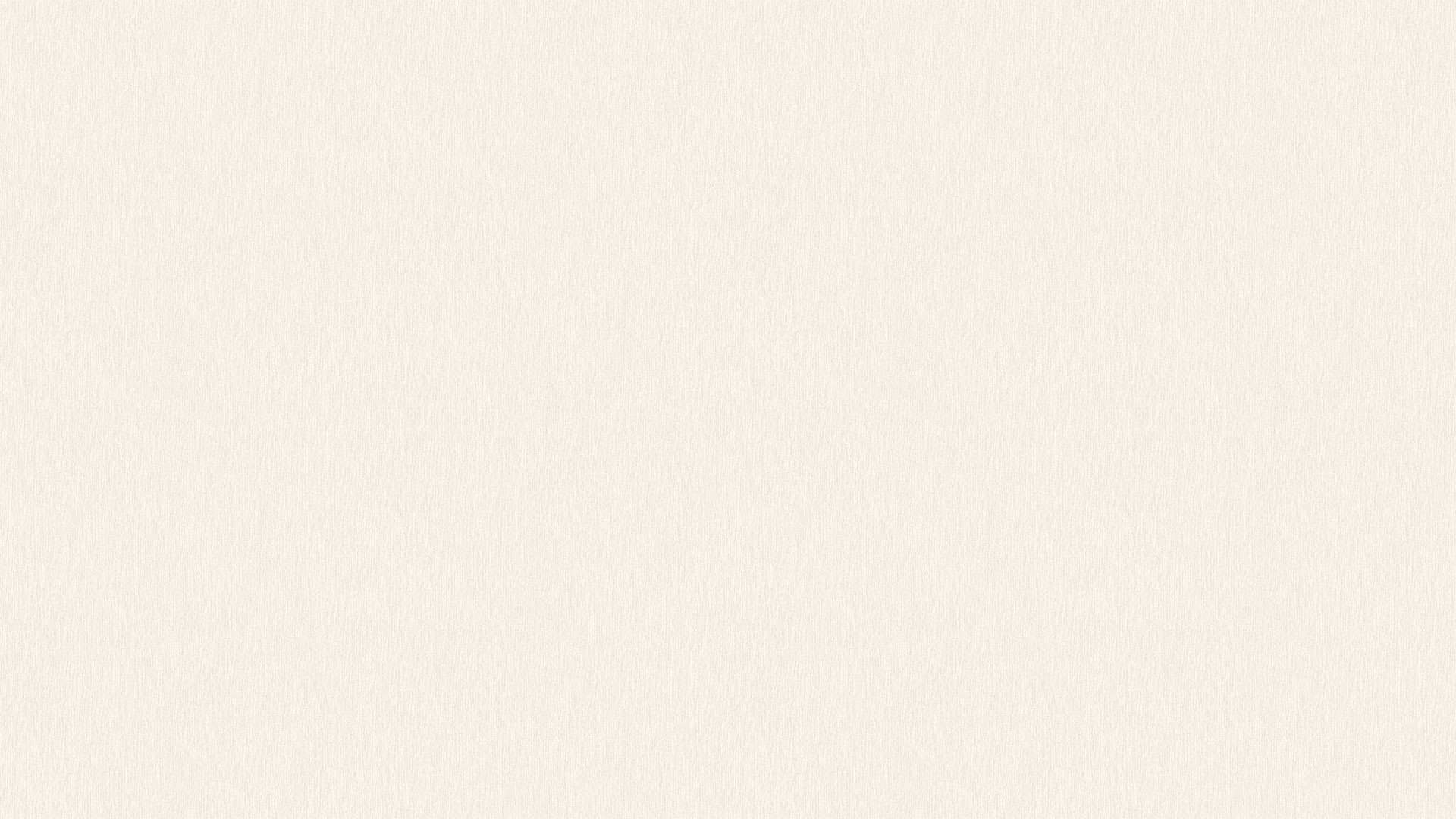 500705 (1,06)