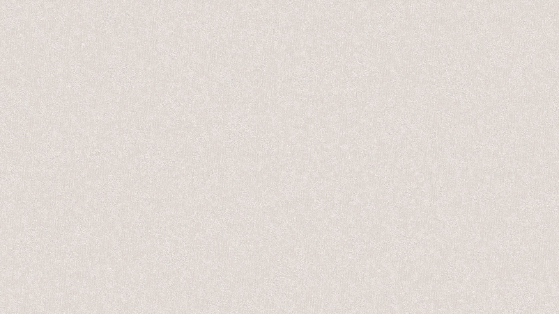 500330 (1,06)