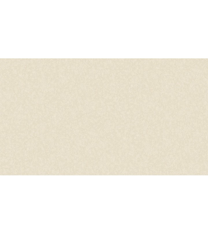 500323 (1,06)