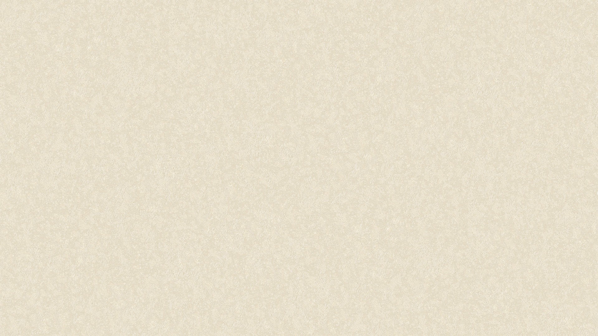 500323 (1,06)
