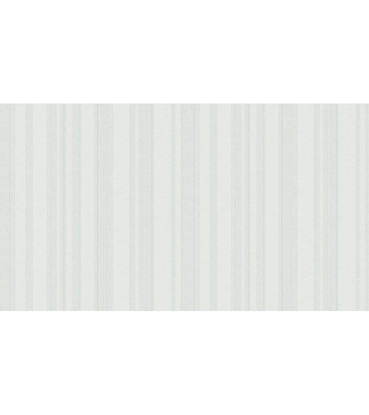 500101 (1,06)