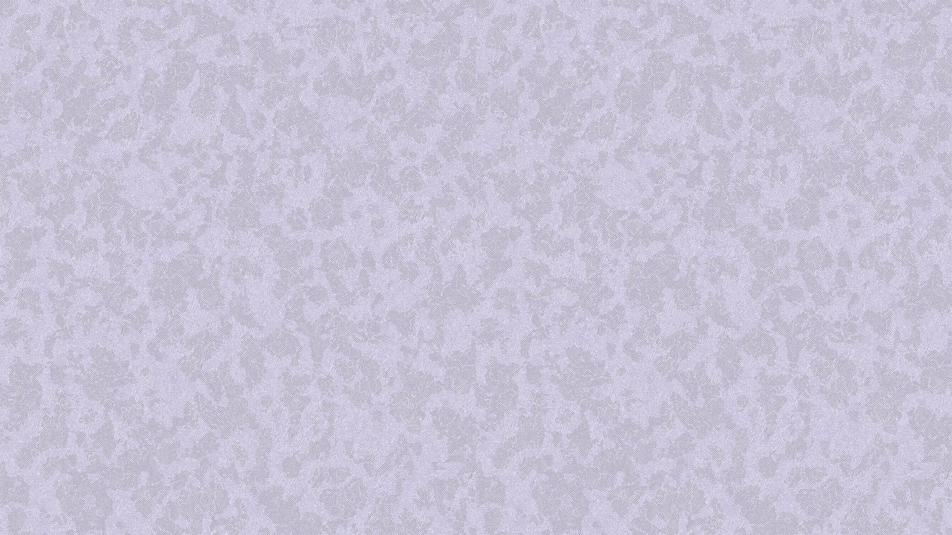 342442 (1,06)