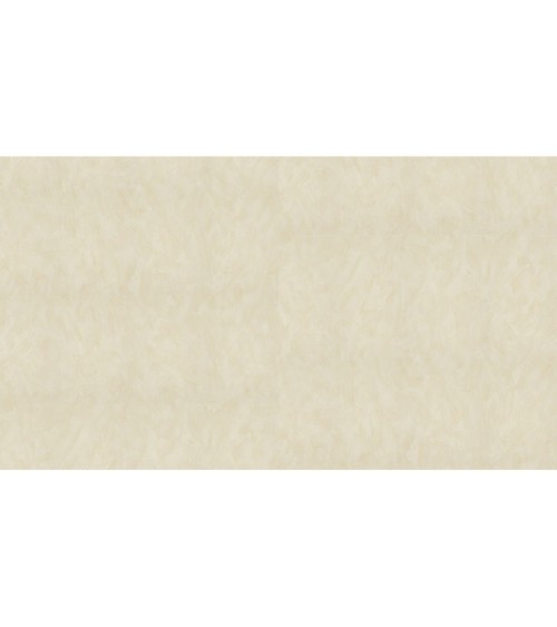 502341 (1,06)