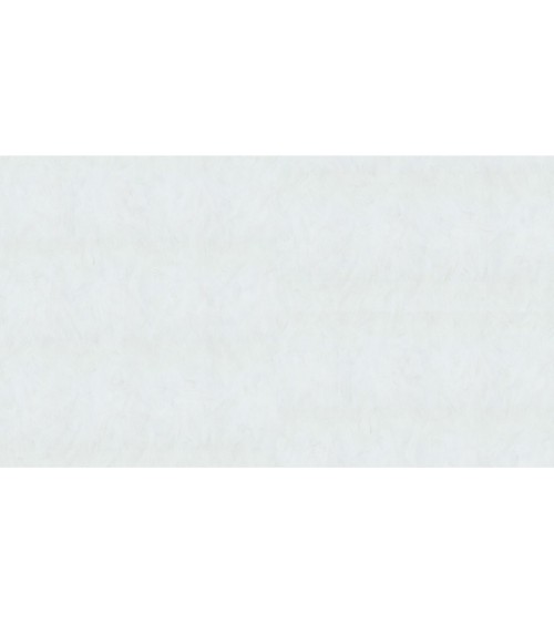 502310 (1,06)