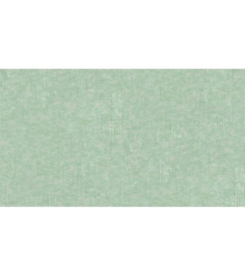 405031 (1,06)