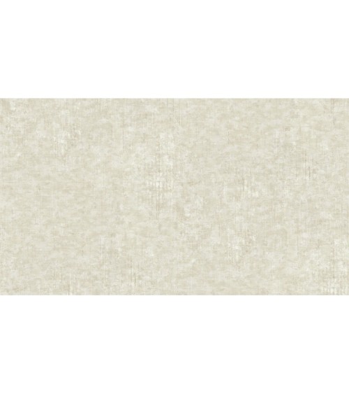 405017 (1,06)