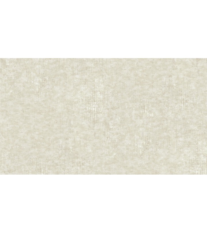 405017 (1,06)