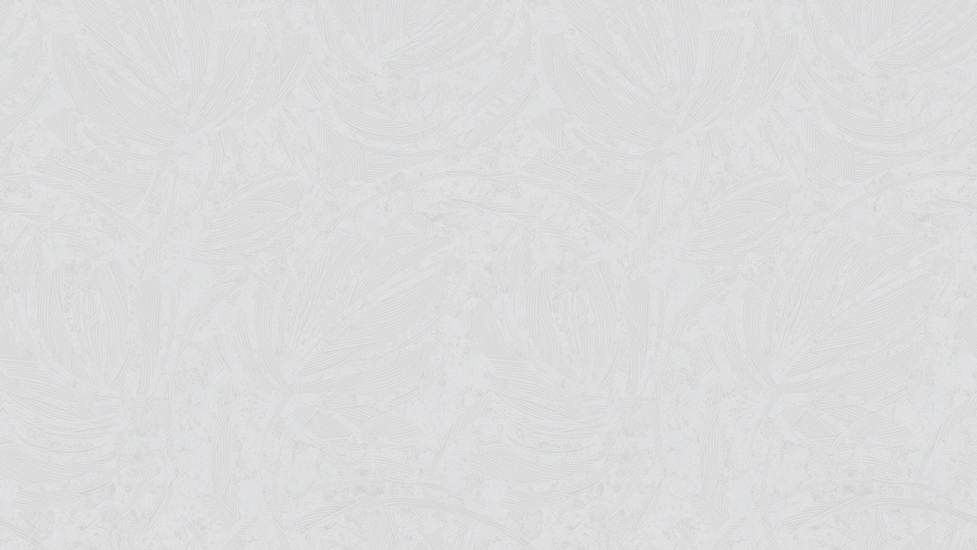 507322 (1,06)