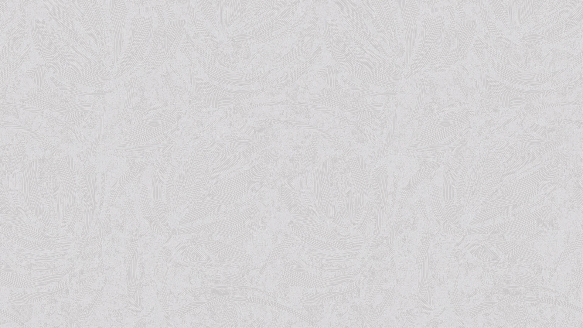 507315 (1,06)