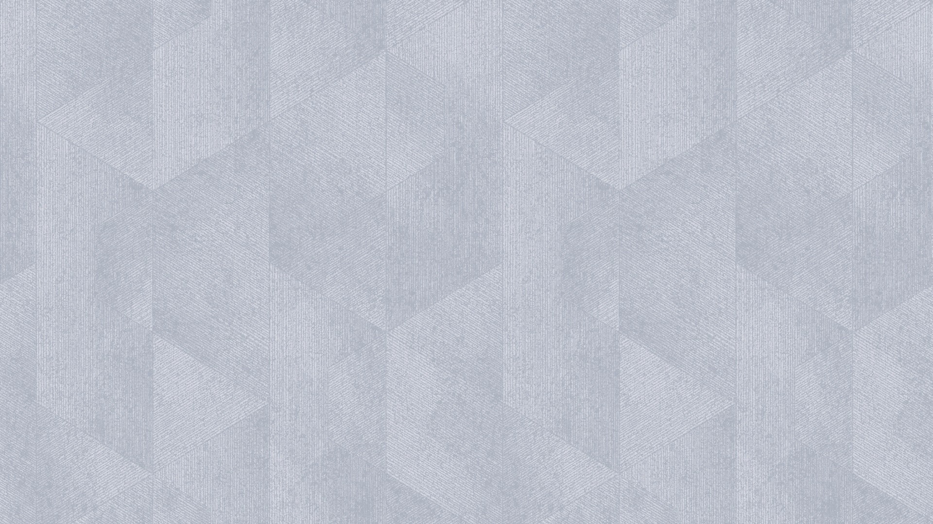 507629 (1,06)