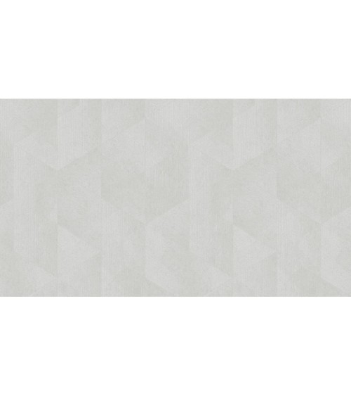 507605 (1,06)