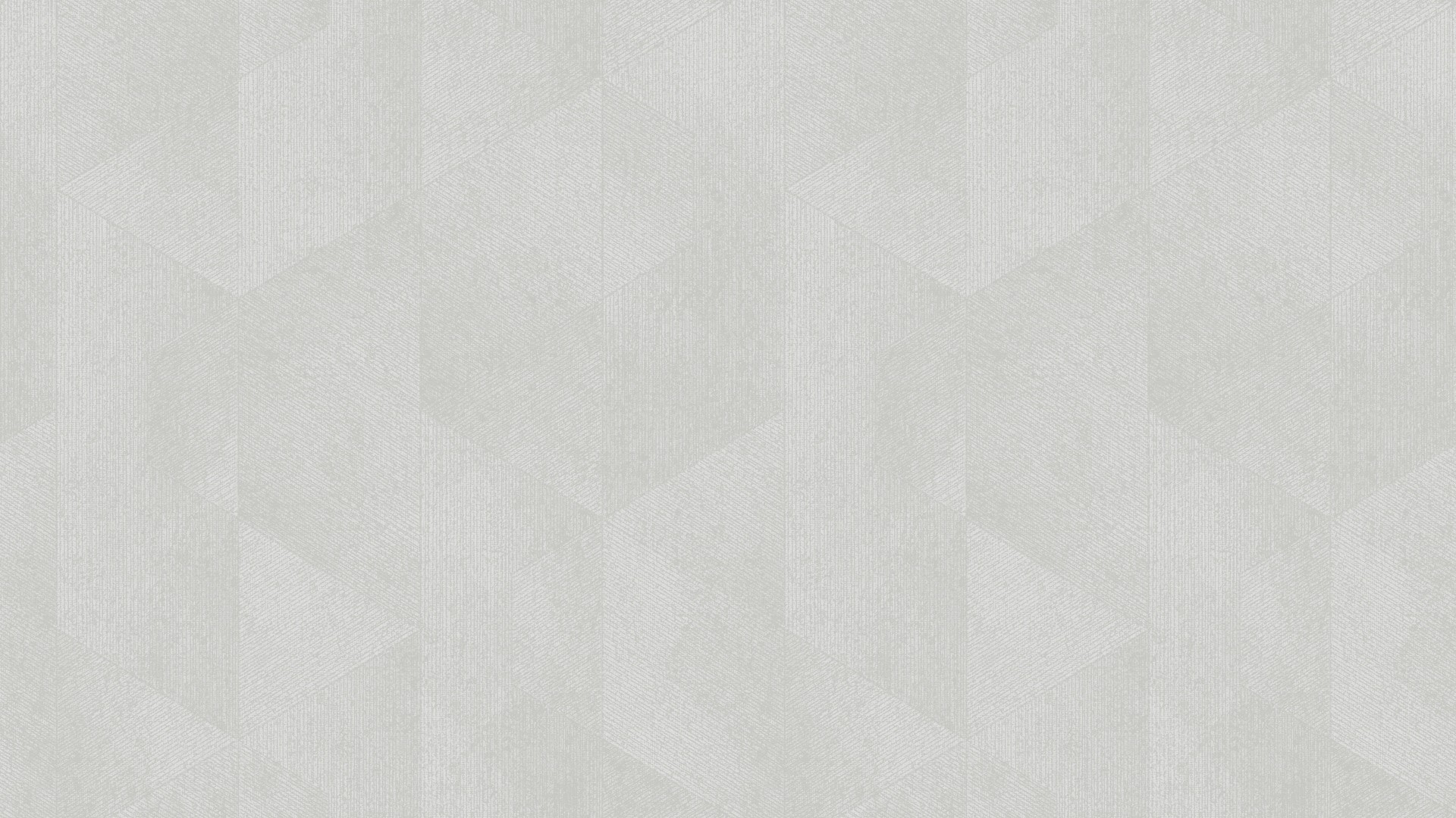 507605 (1,06)
