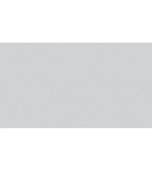 507117 (1,06)