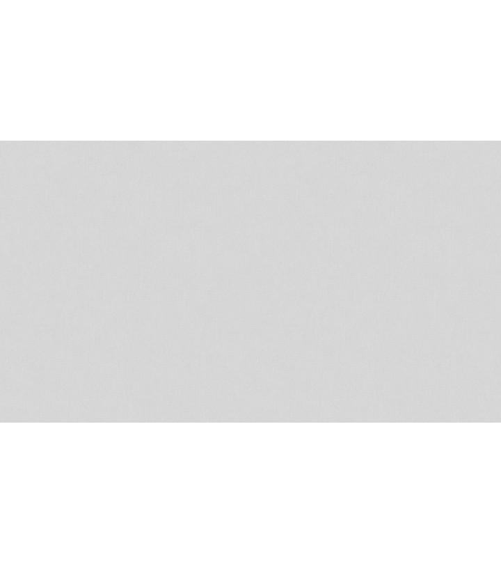 507100 (1,06)