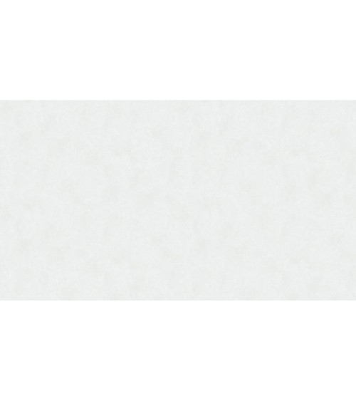 600405 (1,06)