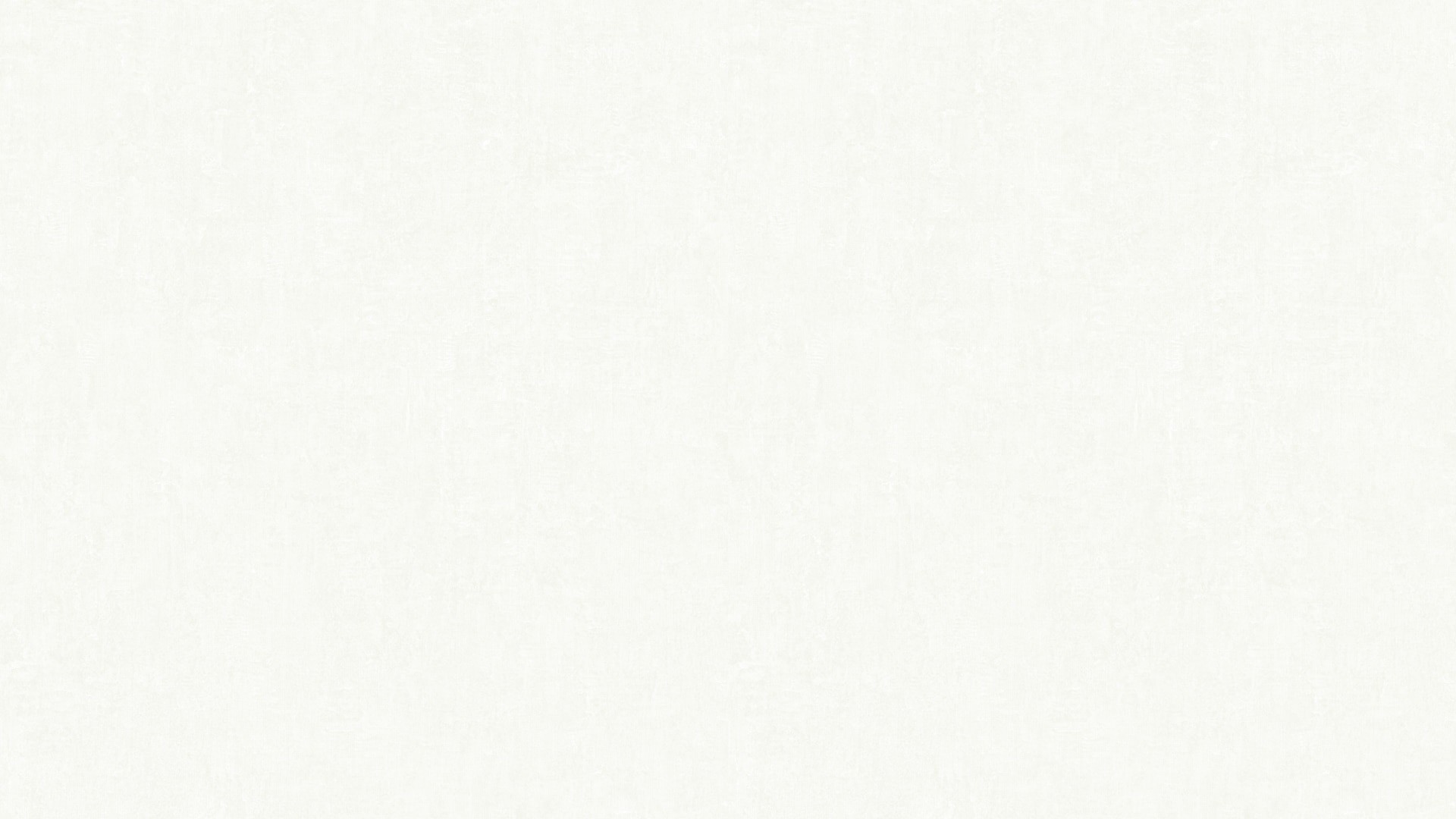 452516 (1,06)