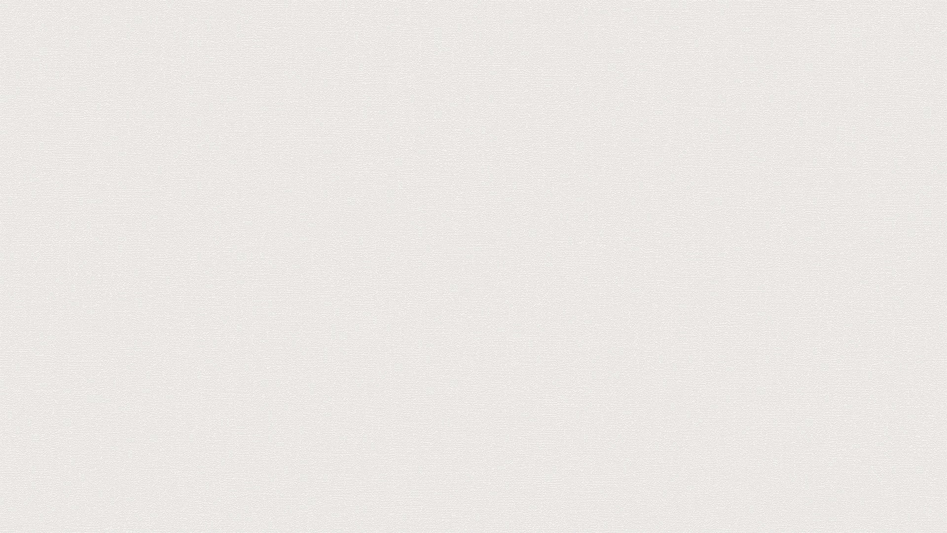 448205 (1,06)