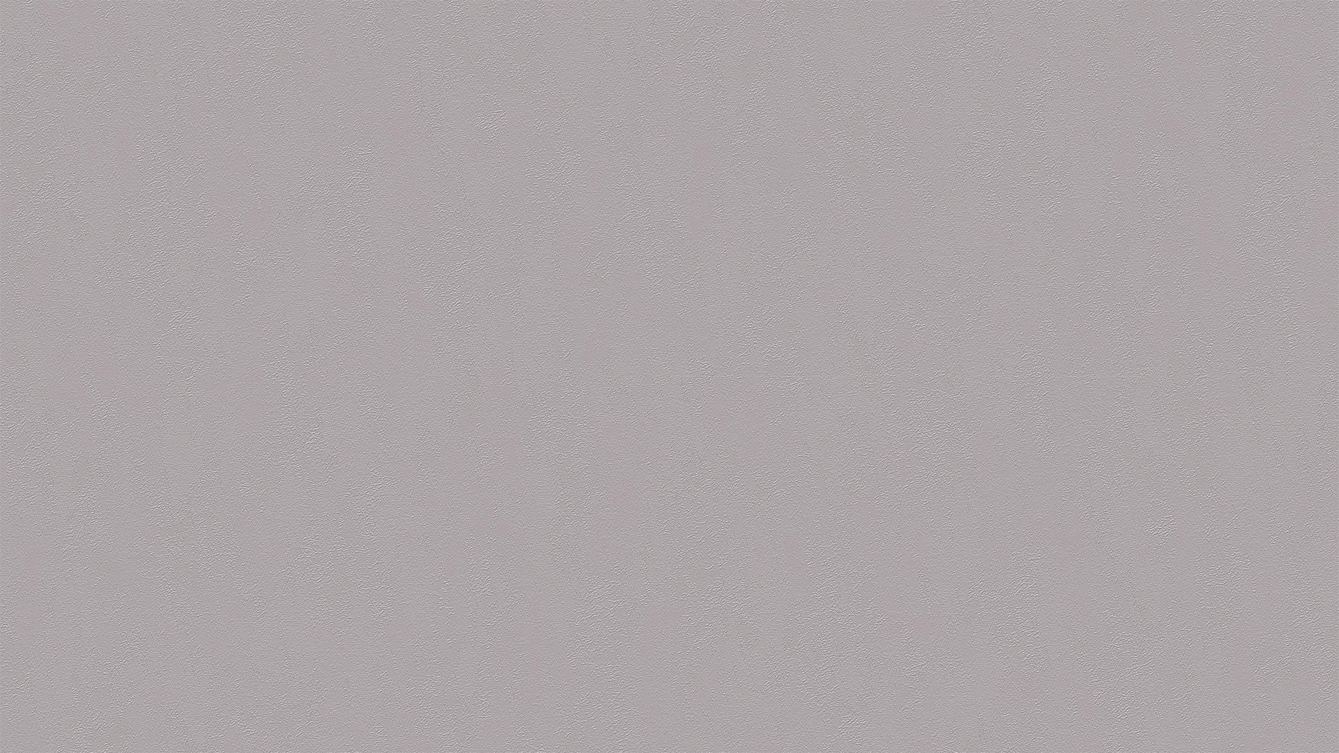 445549 (1,06)