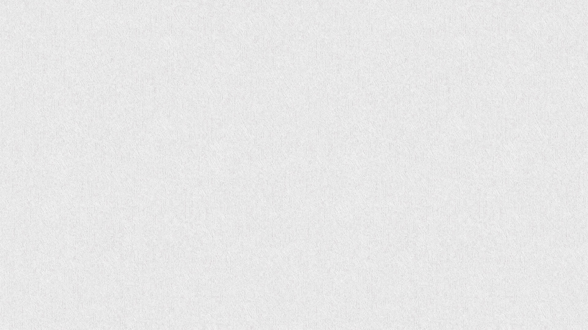 445105 (1,06)