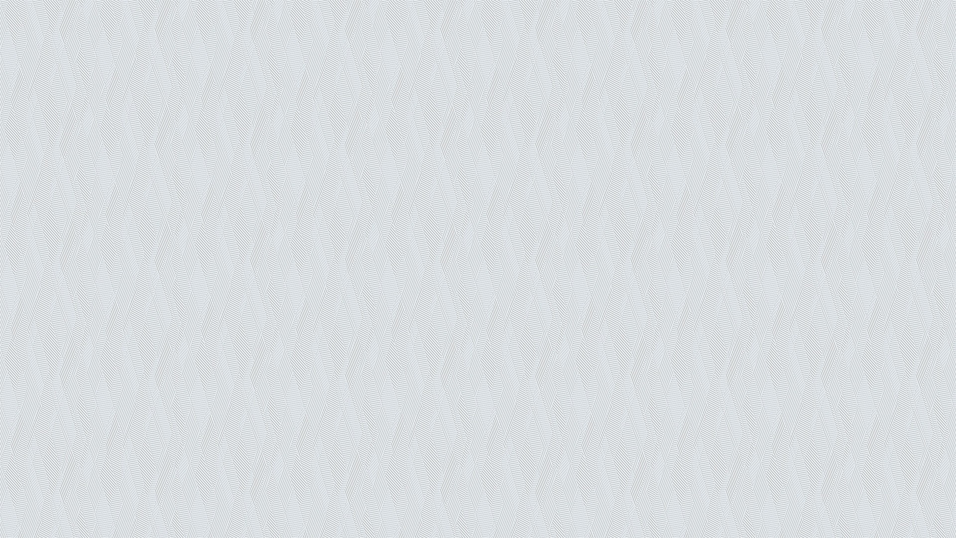255339 (1,06)