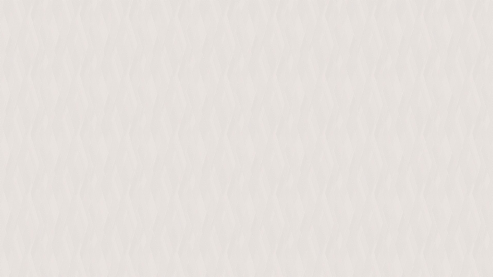 255353 (1,06)