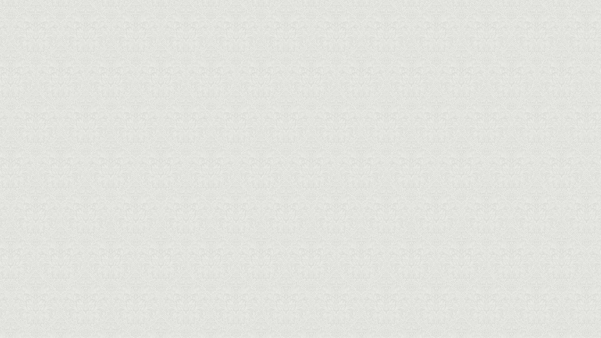 344408 (1,06)