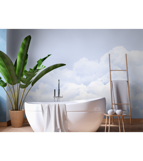 Wall Mural "Clouds" buy with delivery